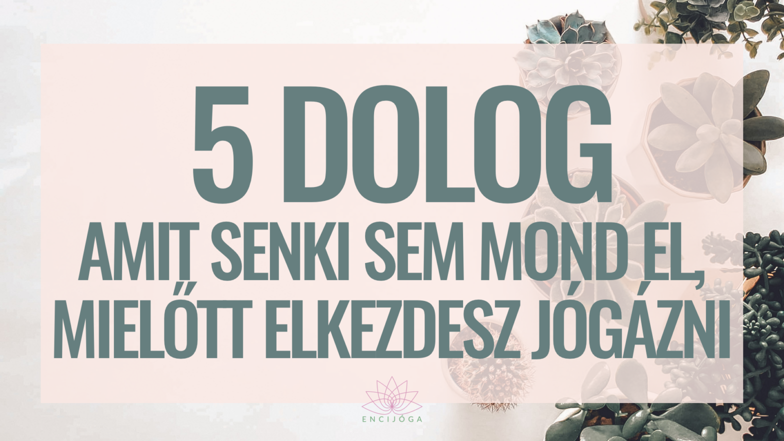 5 dolog, amit senki sem mond el, mielőtt elkezdesz jógázni