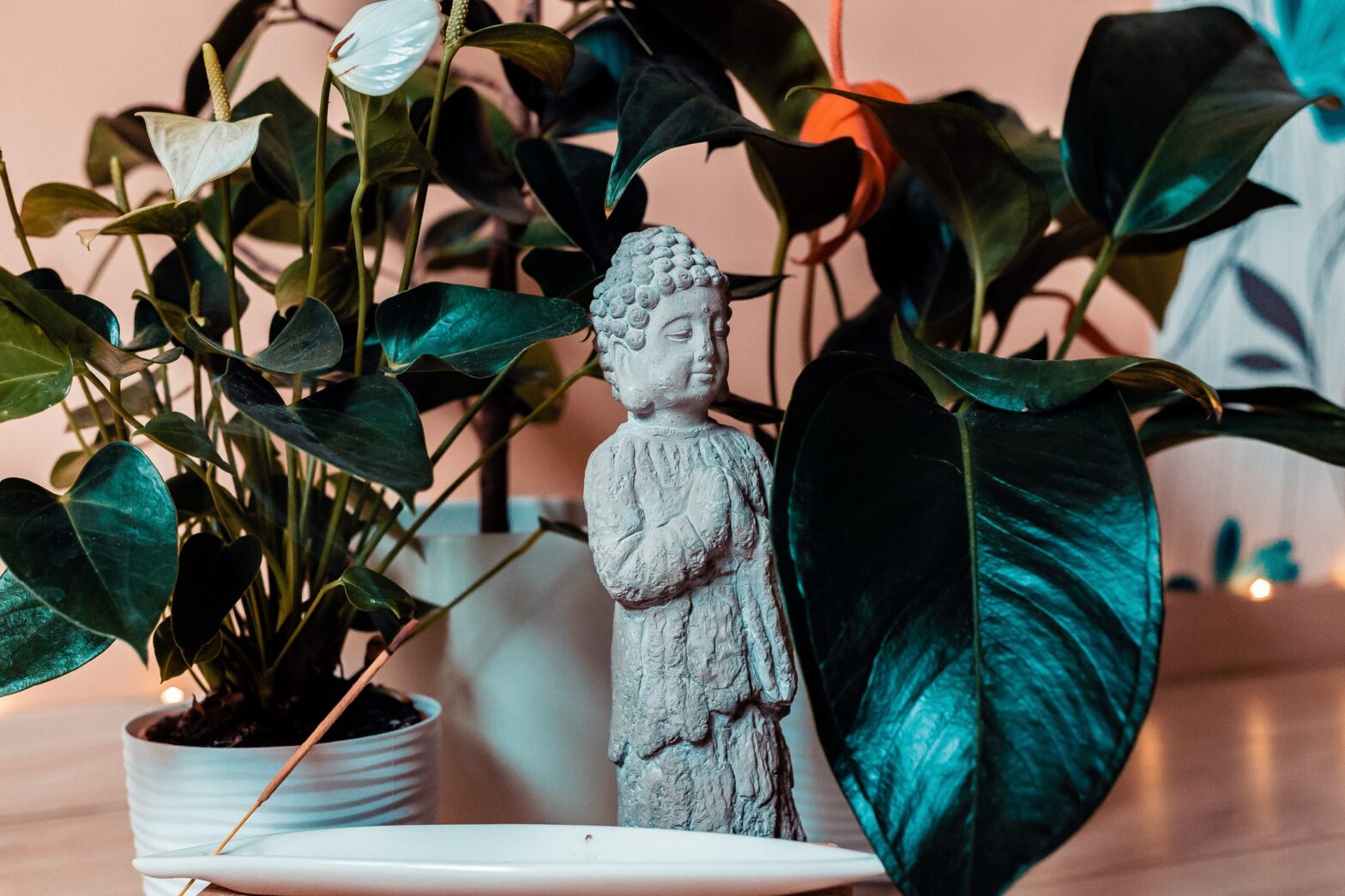 Karanténban: az én jóga elvonulásom